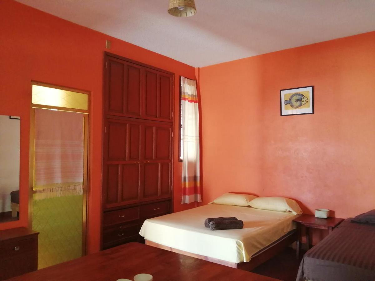 Hostal Alegria De Oaxaca Exterior photo